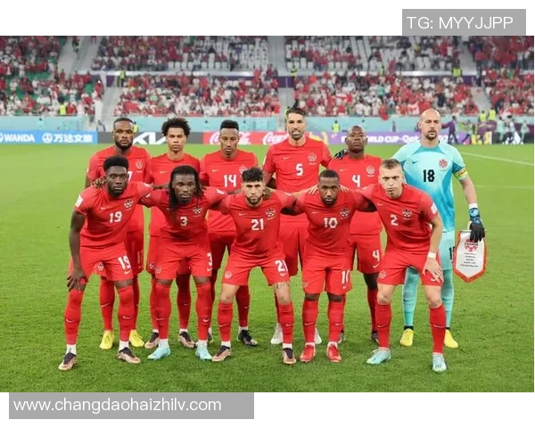 加拿大足球明星的璀璨星途与成就探索