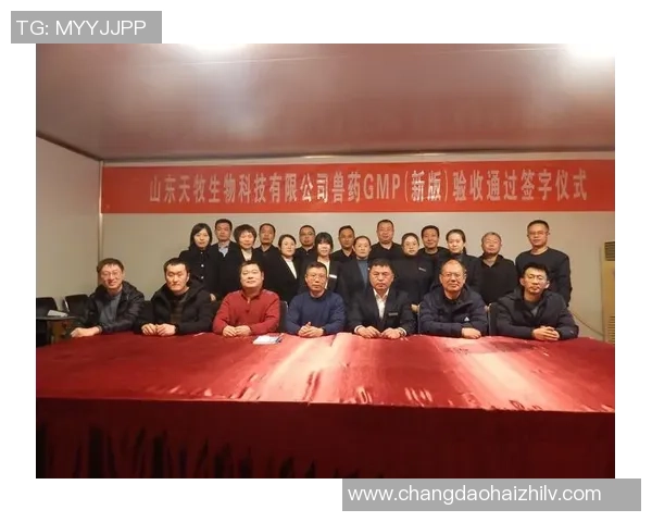 杭州羽毛球队的崛起之路洲际杯特别报道见证奋斗与荣耀的成长故事