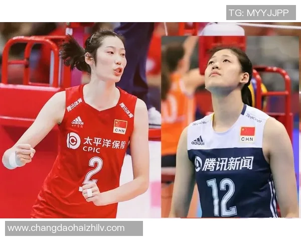 武汉排球队实力强劲荣登全国排球实力排行榜第三名