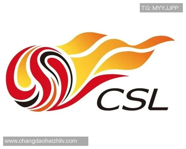 武汉排球队个人能力排名创新高展现新一轮竞技实力与团队协作潜力